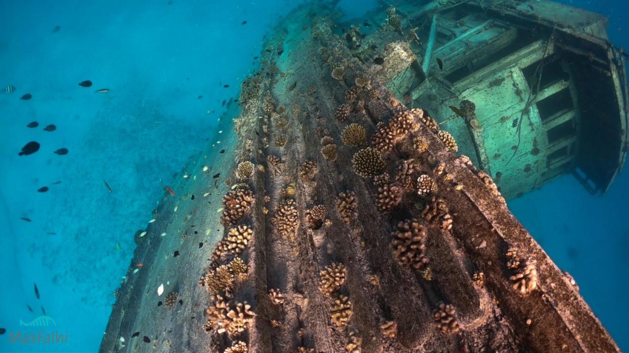 Masfalhi View Inn Felidhoo Dış mekan fotoğraf