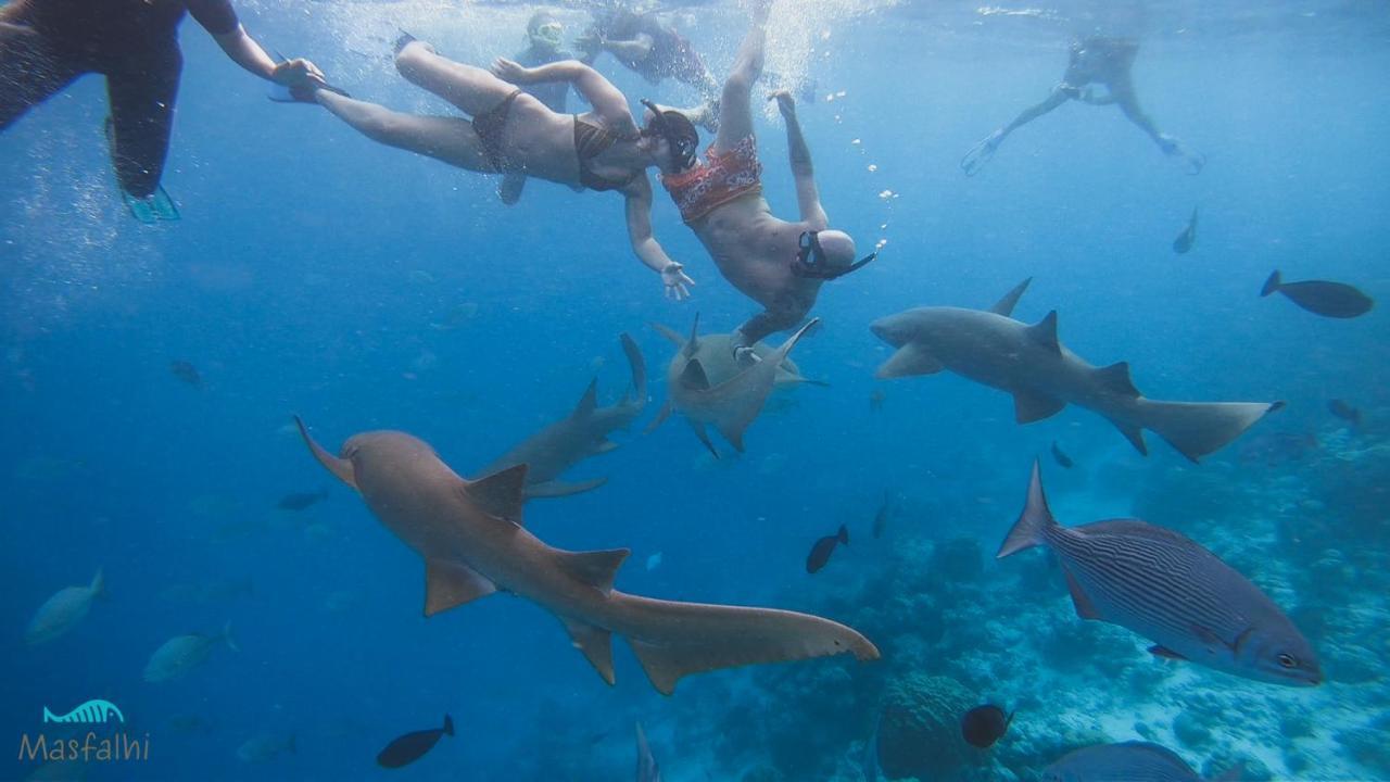Masfalhi View Inn Felidhoo Dış mekan fotoğraf