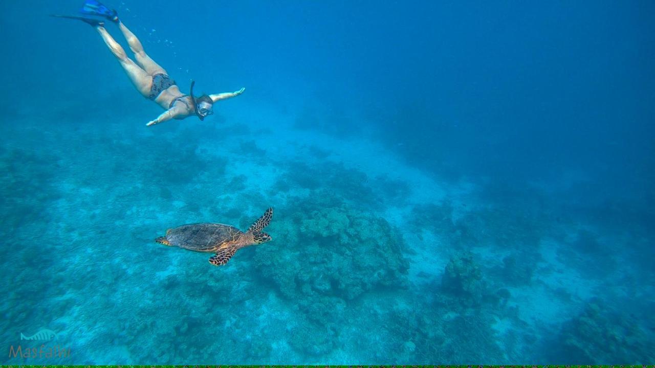 Masfalhi View Inn Felidhoo Dış mekan fotoğraf